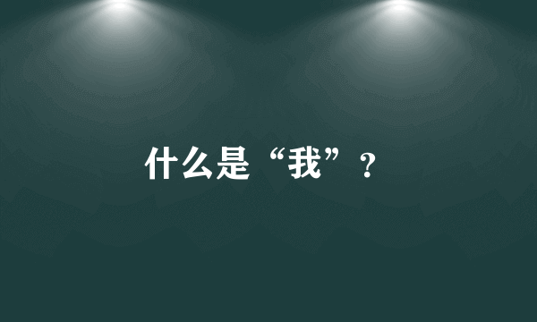 什么是“我”？