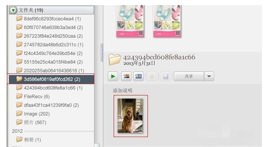 Picasa3怎么使用