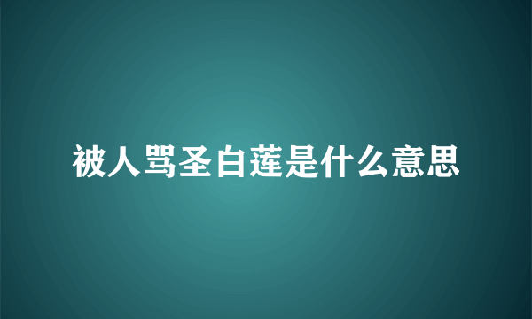 被人骂圣白莲是什么意思