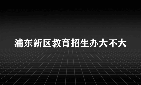 浦东新区教育招生办大不大