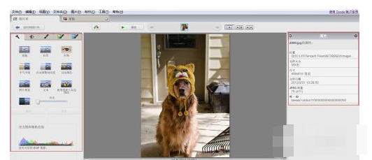 Picasa3怎么使用