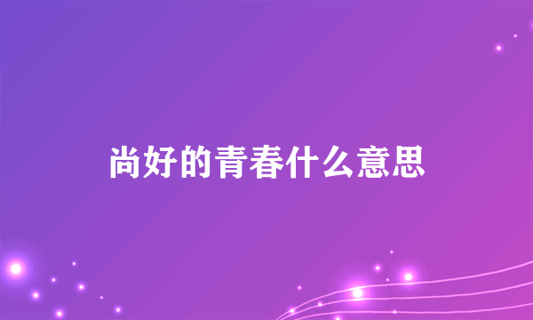 尚好的青春什么意思