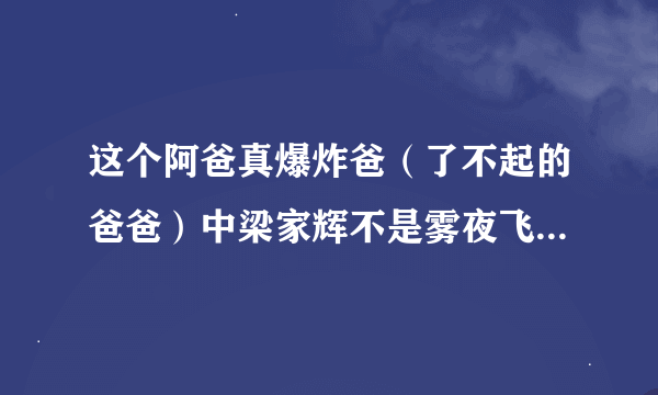 这个阿爸真爆炸爸（了不起的爸爸）中梁家辉不是雾夜飞鹰，但为何却会无影手？片头和片中都使出过无影手