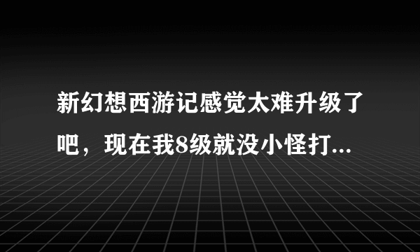 新幻想西游记感觉太难升级了吧，现在我8级就没小怪打了混在小雷音寺5打力士一个打半小时，跪求教教