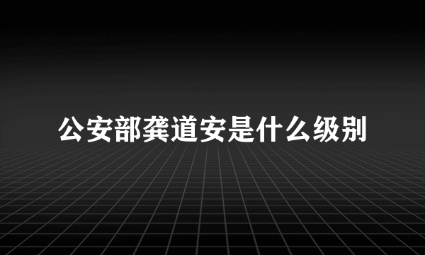 公安部龚道安是什么级别