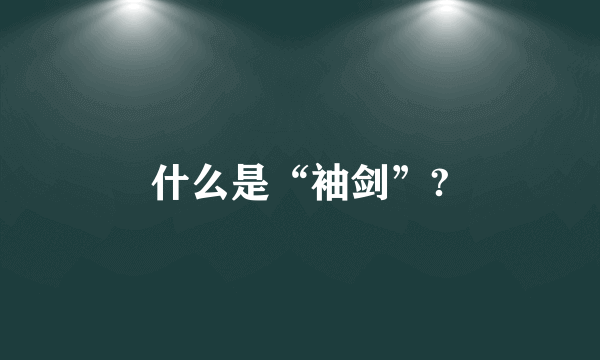 什么是“袖剑”?