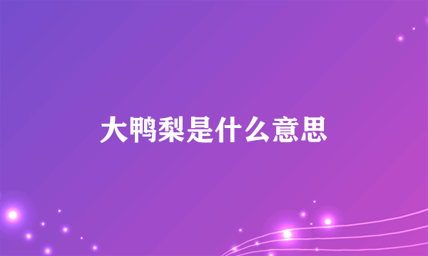 大鸭梨是什么意思