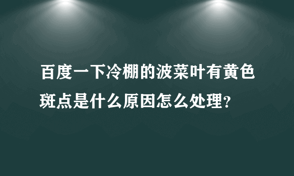 百度一下冷棚的波菜叶有黄色斑点是什么原因怎么处理？