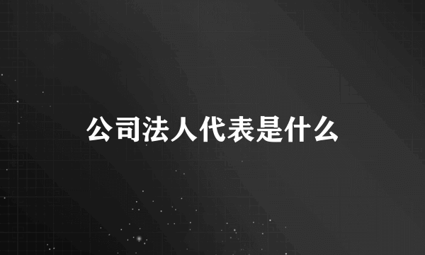 公司法人代表是什么