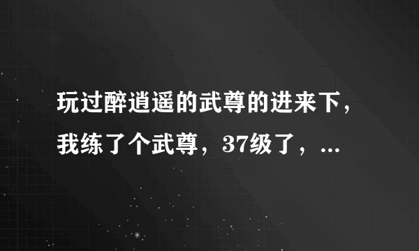 玩过醉逍遥的武尊的进来下，我练了个武尊，37级了，但感觉他好像不厉害，pk也不行，我在犹豫是否继续玩，