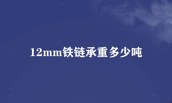 12mm铁链承重多少吨