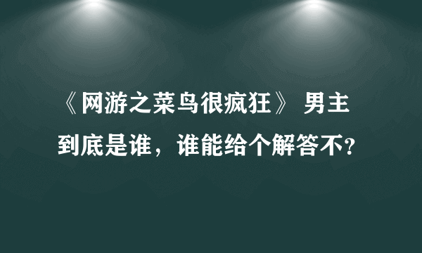 《网游之菜鸟很疯狂》 男主到底是谁，谁能给个解答不？