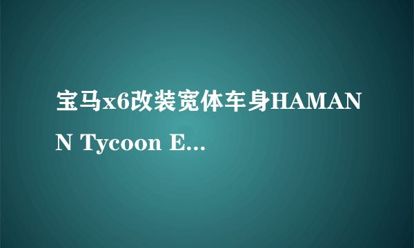 宝马x6改装宽体车身HAMANN Tycoon EVO,有安装过的朋友么？哪有卖件的？