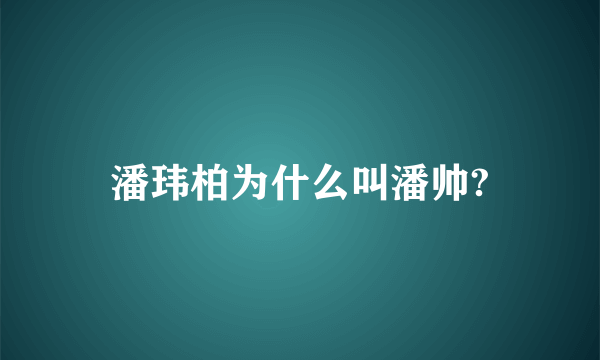 潘玮柏为什么叫潘帅?