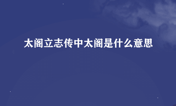 太阁立志传中太阁是什么意思