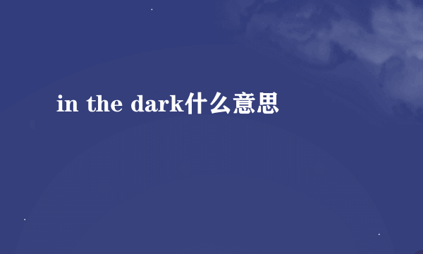 in the dark什么意思