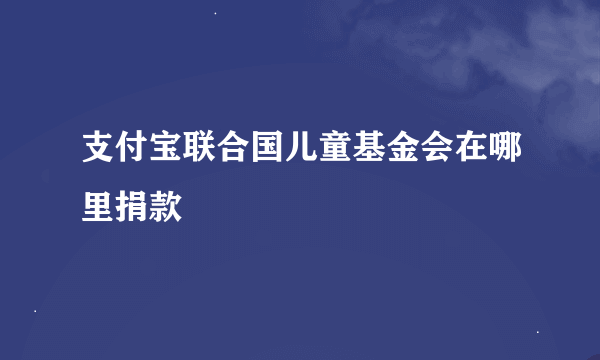 支付宝联合国儿童基金会在哪里捐款