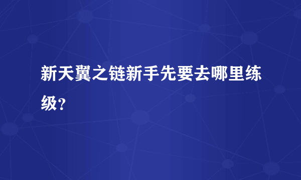 新天翼之链新手先要去哪里练级？