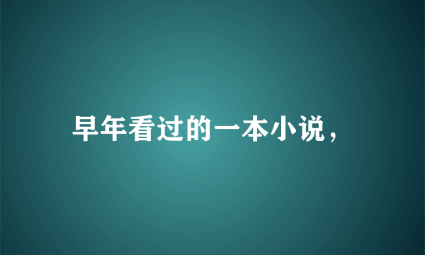 早年看过的一本小说，