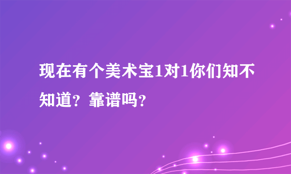 现在有个美术宝1对1你们知不知道？靠谱吗？