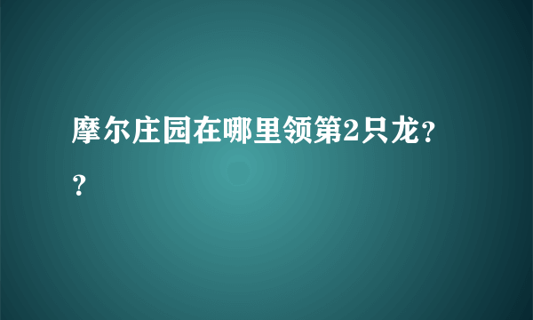 摩尔庄园在哪里领第2只龙？？