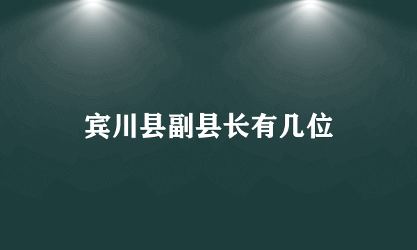 宾川县副县长有几位