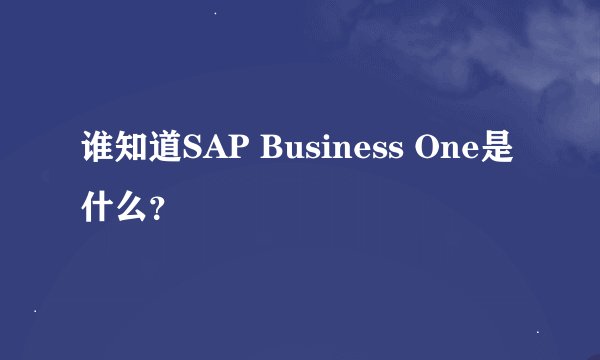 谁知道SAP Business One是什么？