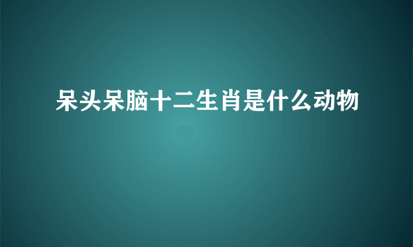 呆头呆脑十二生肖是什么动物