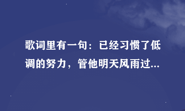 歌词里有一句：已经习惯了低调的努力，管他明天风雨过后是否晴天，这是什么歌曲啊！