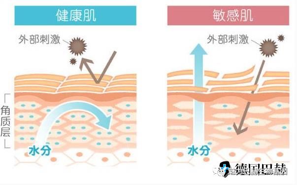 你知道高敏敏感肌肤怎么保养吗