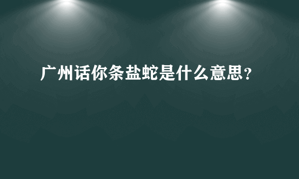 广州话你条盐蛇是什么意思？