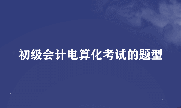 初级会计电算化考试的题型