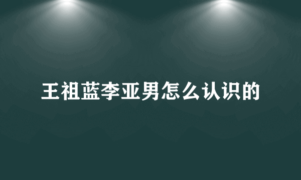 王祖蓝李亚男怎么认识的