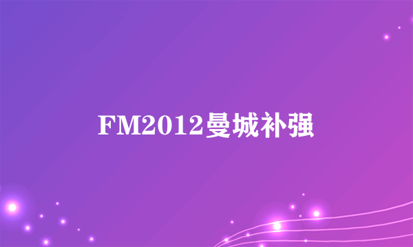 FM2012曼城补强