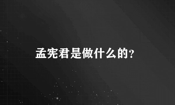 孟宪君是做什么的？