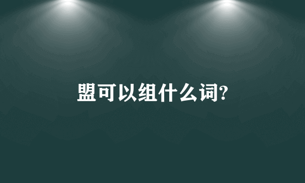 盟可以组什么词?