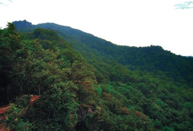 瓦岗山的介绍