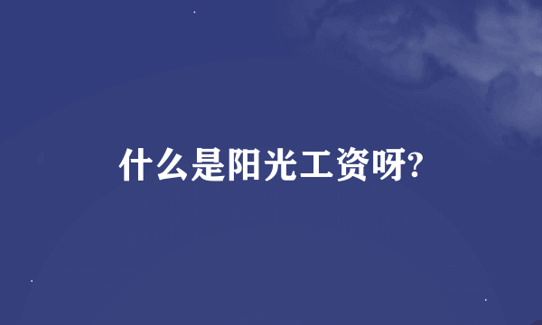 什么是阳光工资呀?