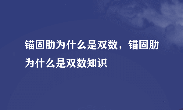 锚固肋为什么是双数，锚固肋为什么是双数知识