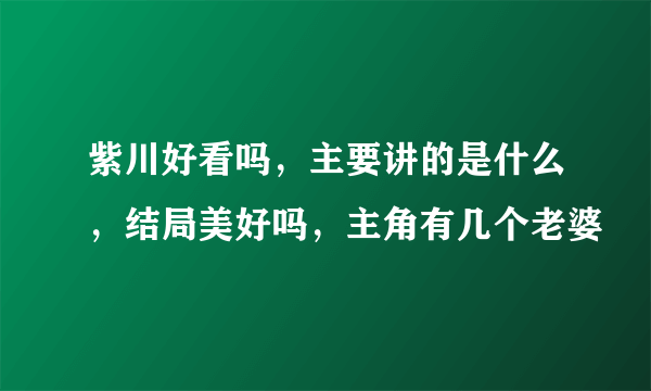 紫川好看吗，主要讲的是什么，结局美好吗，主角有几个老婆