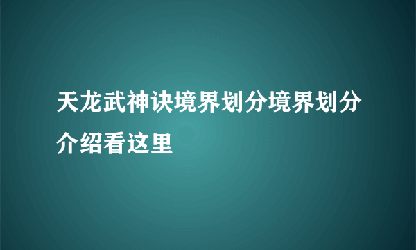 天龙武神诀境界划分境界划分介绍看这里