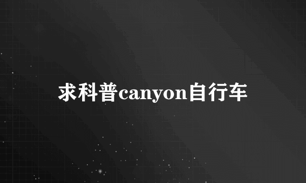 求科普canyon自行车