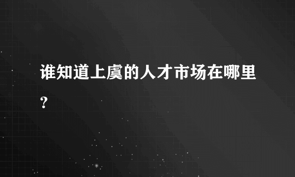 谁知道上虞的人才市场在哪里？