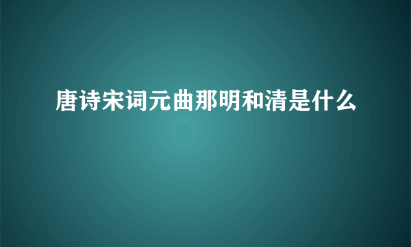 唐诗宋词元曲那明和清是什么