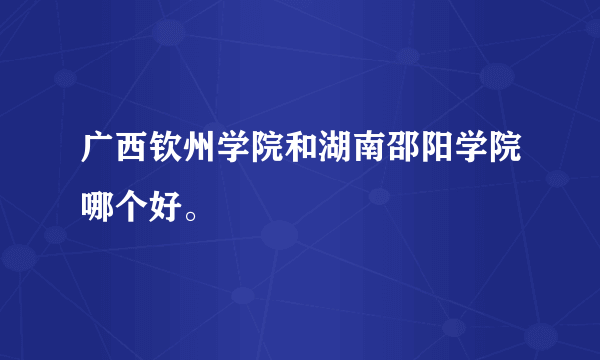 广西钦州学院和湖南邵阳学院哪个好。