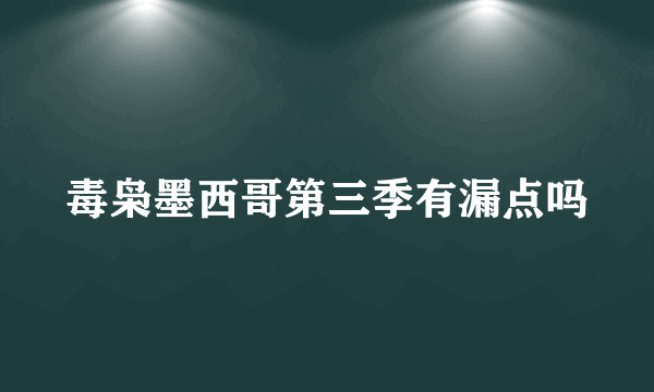 毒枭墨西哥第三季有漏点吗