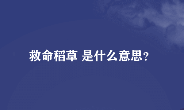 救命稻草 是什么意思？