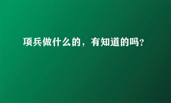 项兵做什么的，有知道的吗？