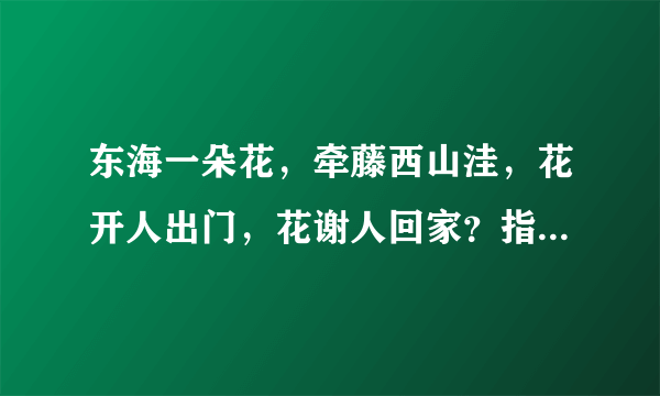 东海一朵花，牵藤西山洼，花开人出门，花谢人回家？指什么生肖？