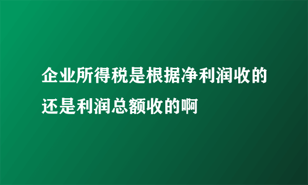 企业所得税是根据净利润收的还是利润总额收的啊